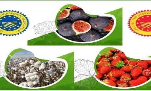 İKV E-Bülteni | 2024 » 1-15 EYLÜL » TÜRKİYE-AB GÜNDEMİ: AB`den Yeni Coğrafi İşaret Tescilleri: Söke Pamuğu, Hüyük Çileği ve Siyah İncir