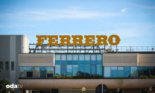 Fındık tekeline istinaf freni: Sektöre zarar verecekti