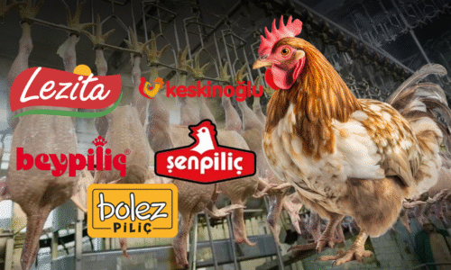 Beyaz et sektöründe ihlaller de, cezalar da, şirketler de aynı