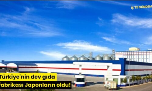 Türkiye’nin dev gıda fabrikası Japonların oldu!