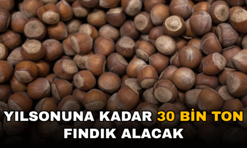 FERRERO TÜRKİYE’DEN YENİDEN FINDIK ALIMLARINA BAŞLADI