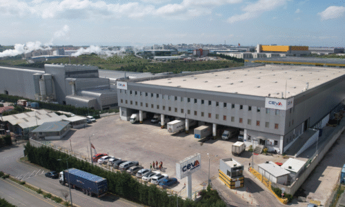 Fransız şirketi CEVA Logistics, Türk şirketi Borusan Lojistik’i 383 milyon dolara satın aldı