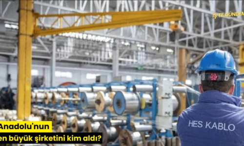 Anadolu’nun en büyük şirketini kim aldı?