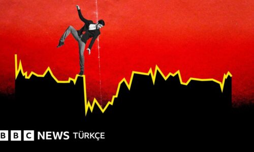 Fon krizinde adı geçen şirketler hakkında neler biliniyor, yöneticileri kimler?