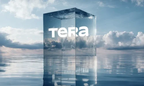 Tera Portföy’de neler yaşandı, neden buralara gelindi? Şirket durumu nasıl değerlendiriyor?